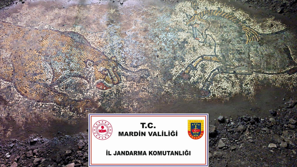 Mardin’de 1500 yıllık mozaik kaçakçıların eline geçmeden kurtarıldı