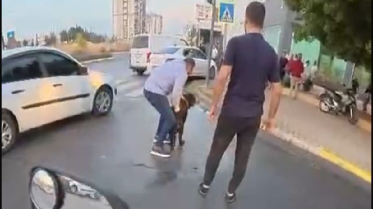 Mersin’de ağızlıksız gezdirilen Rottweiler bir kadına ve kuryeye saldırdı