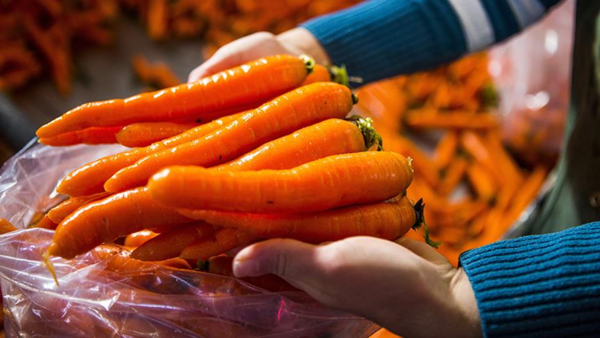 Mucizevi etkileri bulunuyor: Her gün 1 adet havuç tüketin