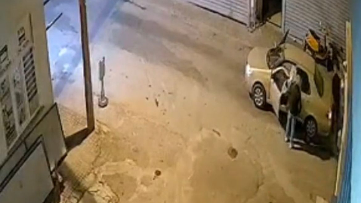 Muğla’da otomobilin altında sürüklenen oklu kirpi öldü