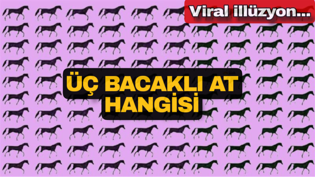 Optik illüzyon: Atlara bakın, üç ayaklıları yakalayın…