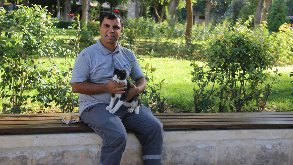 Şanlıurfa’da gölete düşen kedi kalp masajıyla hayata tutundu