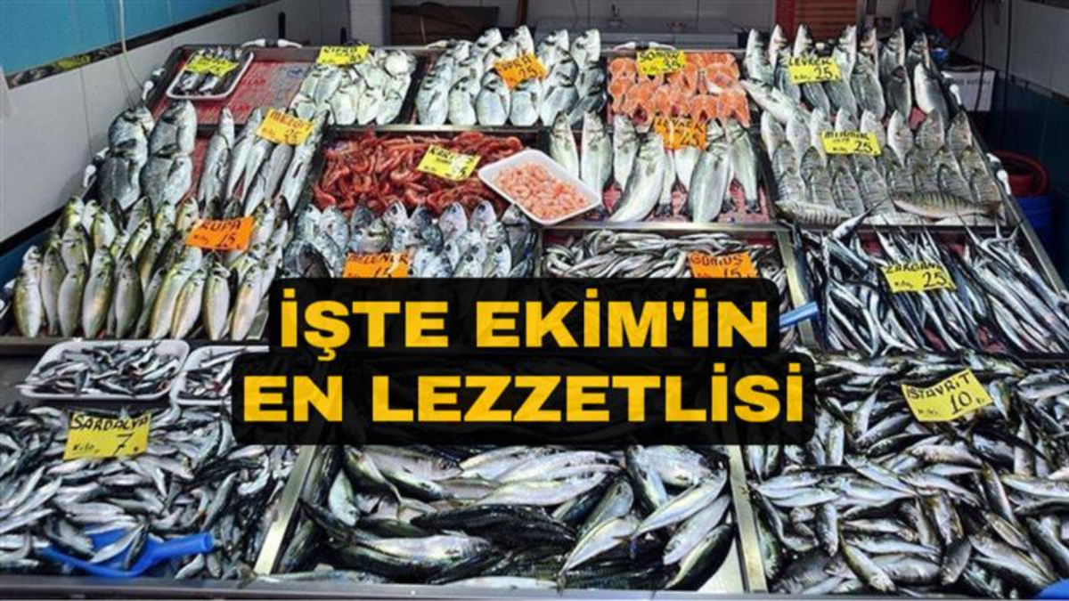 Sonbahar balıkları: Ekim ayında tüketmeniz gereken 4 balık