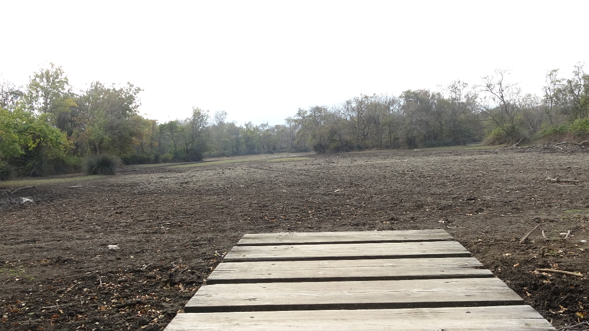 Türkiye’nin 3’üncü büyük longozu da kurudu