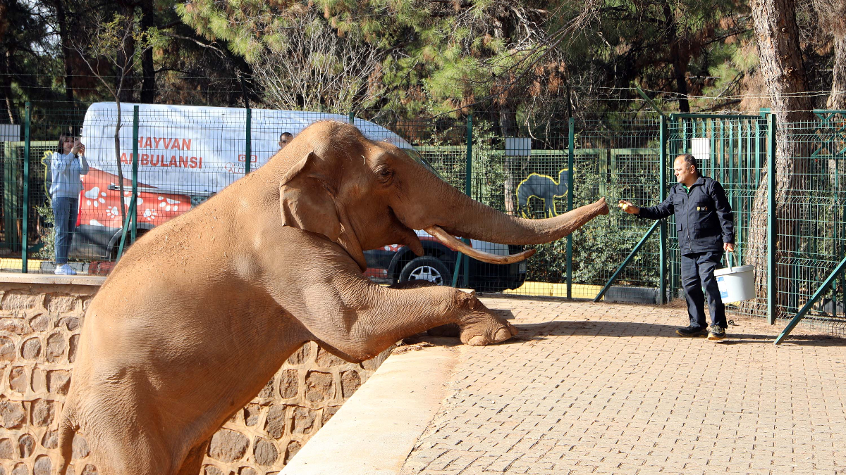 Türkiye’nin en büyük hayvanat bahçesi kışa hazır