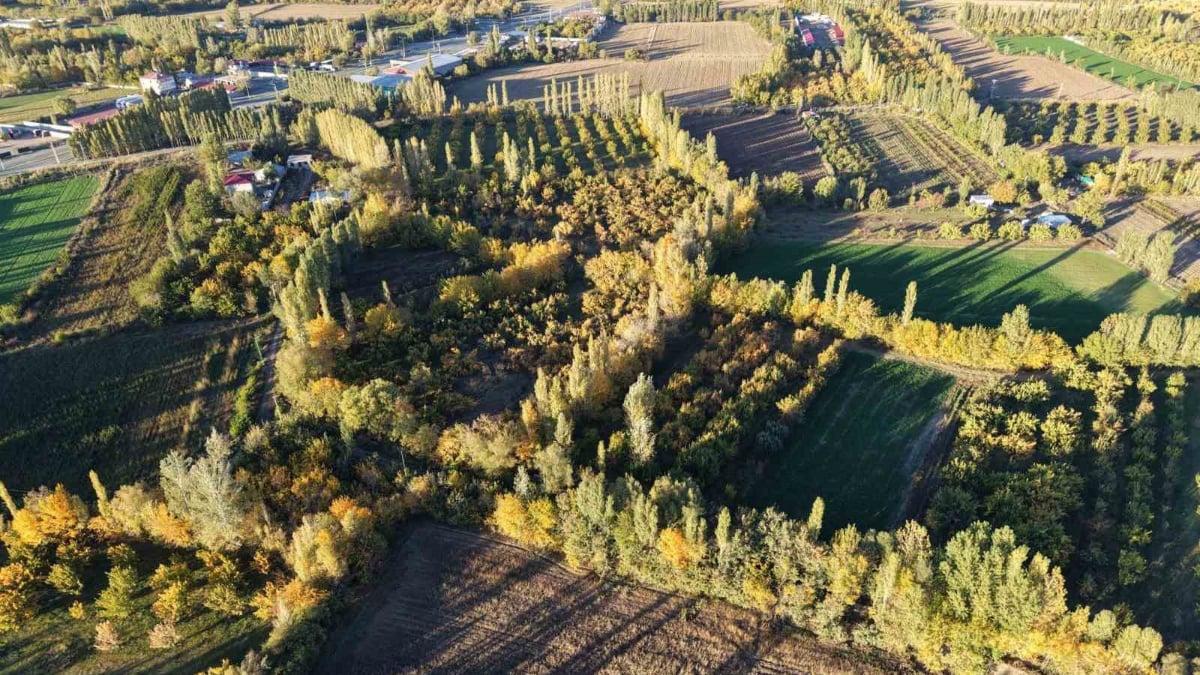 Yurt dışı değil, Türkiye: Burayı gören tablo sanıyor…