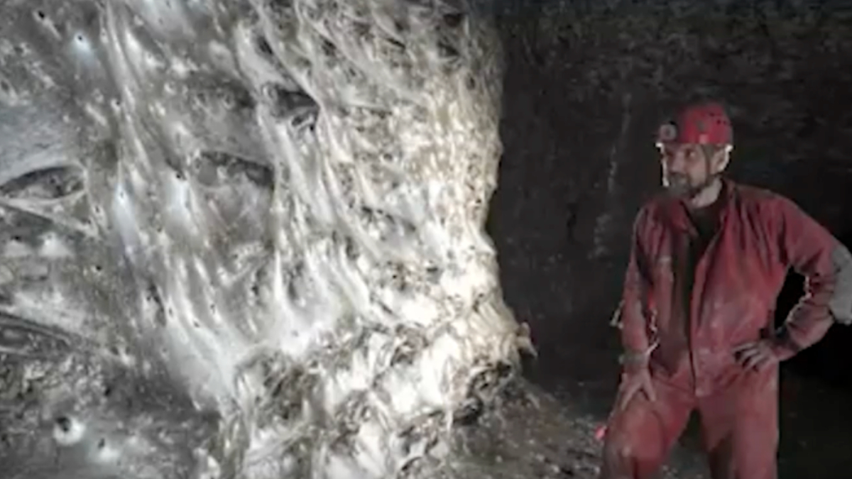 Arnavutluk-Yunanistan sınırında ‘dünyanın en büyük örümcek ağı’ bulundu