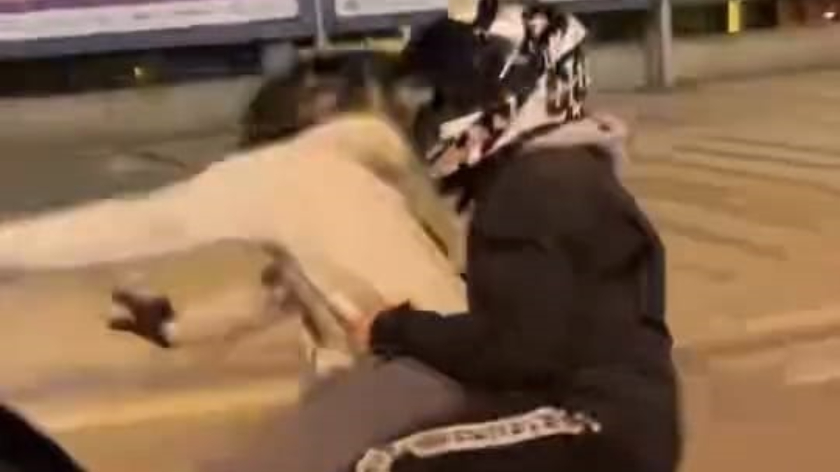 Bursa’da ön tekerini kaldırmak istediği motosikleti devirdi: Kaza anı kamerada