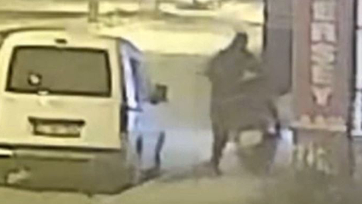 Hatay’da apartmanın girişindeki motosiklet çalındı