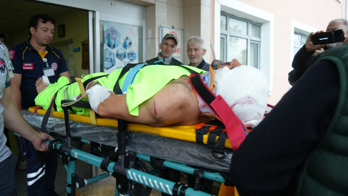 Kastamonu’da mantar toplayan imama ayı saldırdı