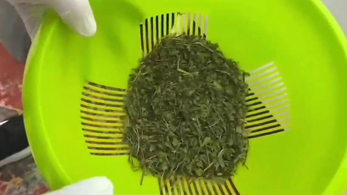 Sakarya’da uyuşturucu satarken tespit edilen şüpheli tutuklandı